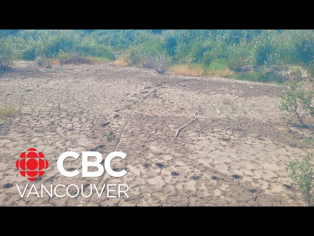 Wells running dry as drought continues in parts of B.C.