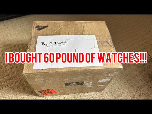 I bought a mystery box of 60 pounds of vintage watches
