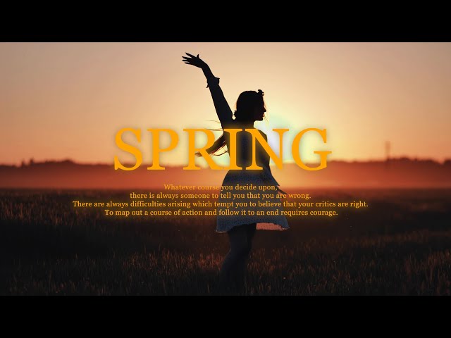 【洋楽Playlist】一足先に春を感じられるプレイリスト🌃 - Spring Music Playlist - 🌿
