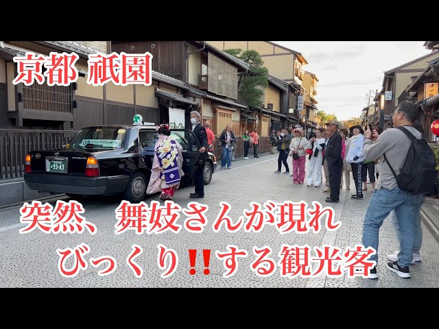 2023年10月30日 京都祇園 突然舞妓さんが前にも後ろにも現れびっくり‼️する観光客 Maiko in Gion, Kyoto 【4K】