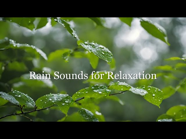 Ambient Sounds for Relaxation | Captivating Rain Sounds and Ambient Tunes 🌧️🌊