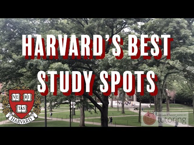 Harvard's Best Study Spots | HSA Tutoring