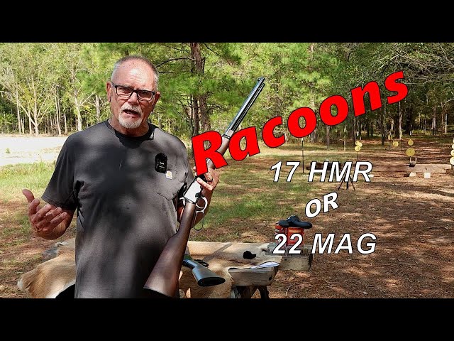 Henry 22 Mag or 17 HMR -  Which Is BEST for Raccoons ???