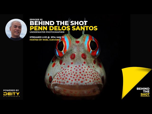 Behind the Shot LIVE 02: Penn Delos Santos on photographing Blennies, Reef Mantas, and Squid Squads!