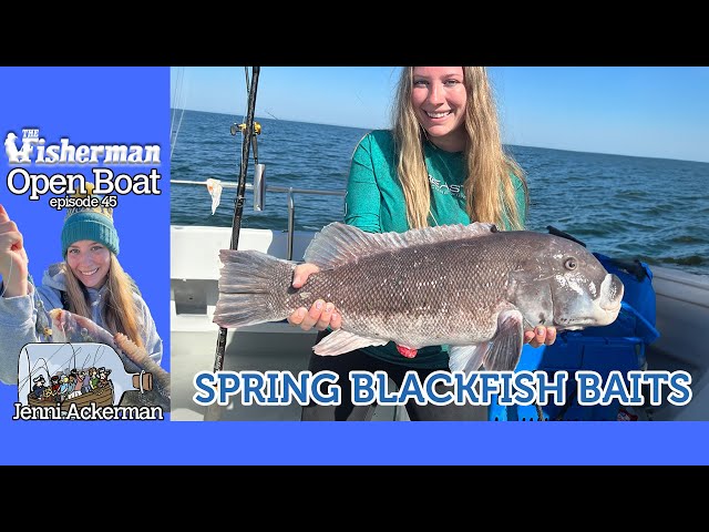 Open Boat Spring Blackfish Baits ep. 45