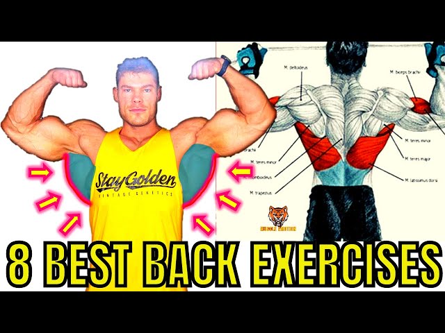 8 BEST BACK EXERCISES TO GET BIGGER BACK FAST / MUSCULATION DOS RÉSULTAT RAPIDE
