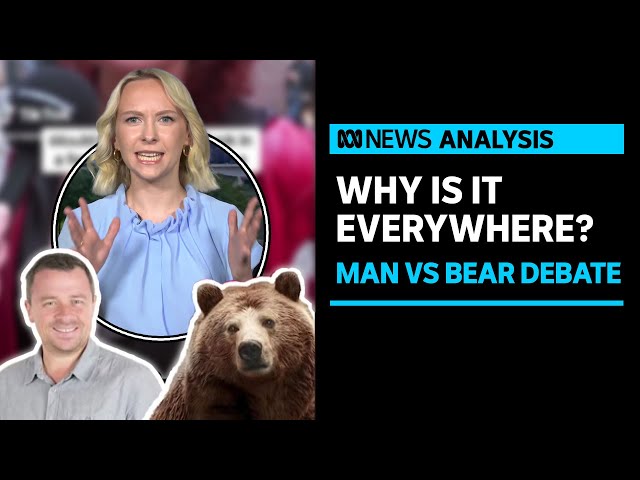What is 'Man vs Bear' and why is it relevant? | ABC News