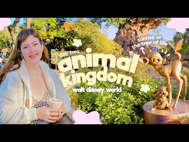 Solo in Walt Disney World 🏰 Beautiful Animal Kingdom during Sunrise