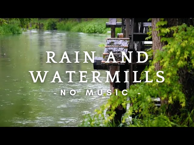 Escape to Solitude with the Mellow Sounds of Rain and Soft Flowing River