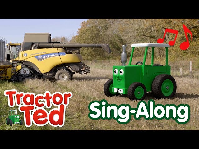 Sunflower Song 🌻 | Tractor Ted Sing-Along | Tractor Ted Official Channel