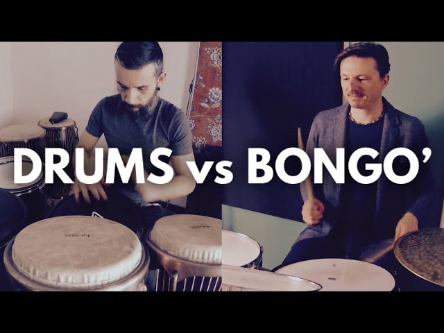 Drums and Percussions: Drums vs Bongó