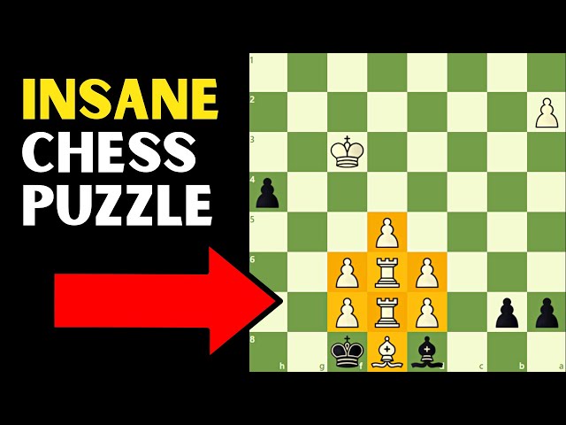 This Chess Problem Left Me Speechless!