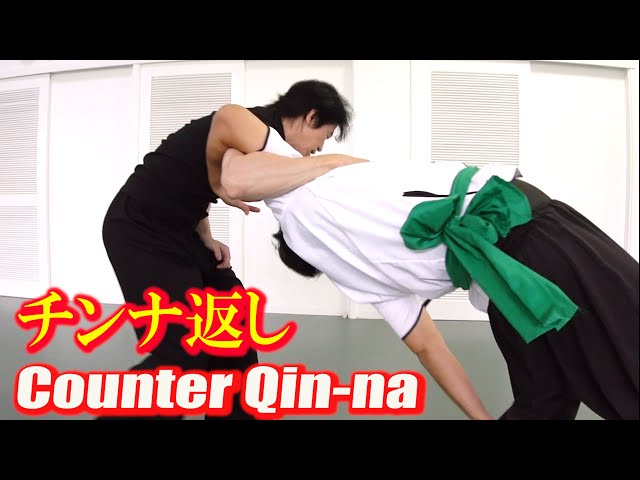 【Kung-fu】Counter Qin-na ! 【Tamotsu Miyahira】