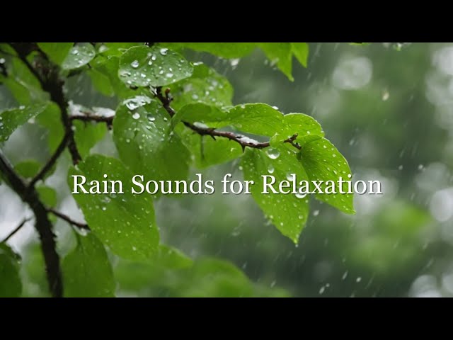 Ambient Sounds for Relaxation | Serene Rain Sounds and Melodic Instrumentals🌧️🌊