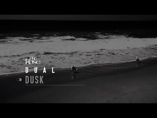 The Rose (더로즈) – Dusk | Official Audio