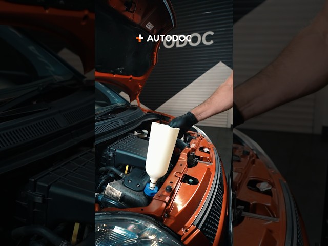 💡 How to safely check and top up engine oil | AUTODOC #shorts