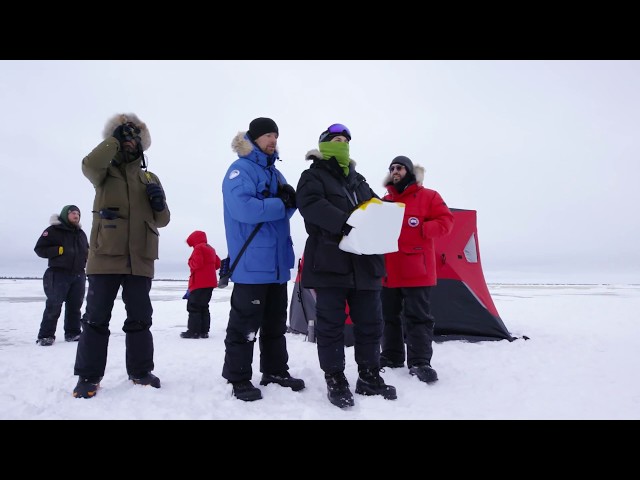 Using Drones for Polar Bear Research