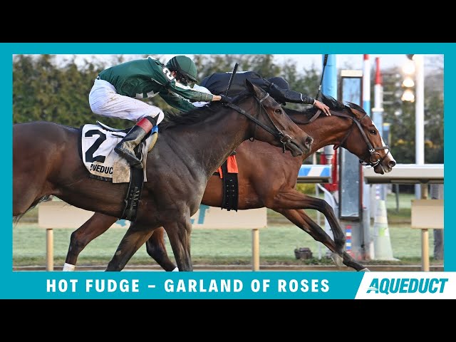 Hot Fudge - 2023 - The Garland of Roses