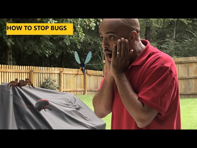 How to get rid of bugs in your yard