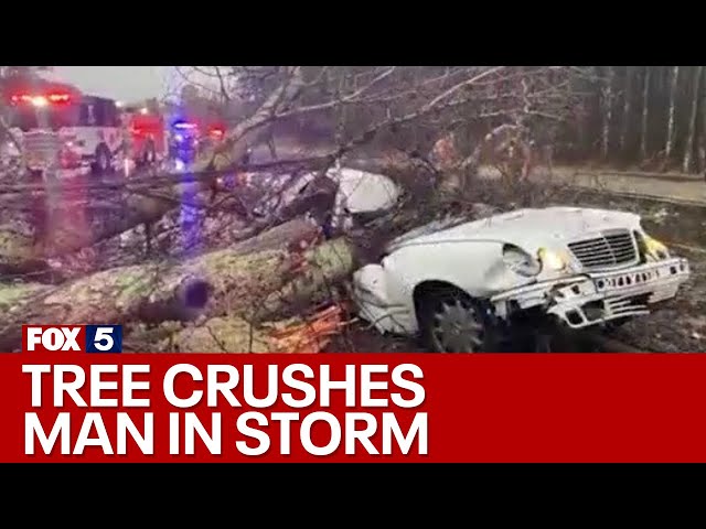 Georgia storm damage: Tree crushes man | FOX 5 News