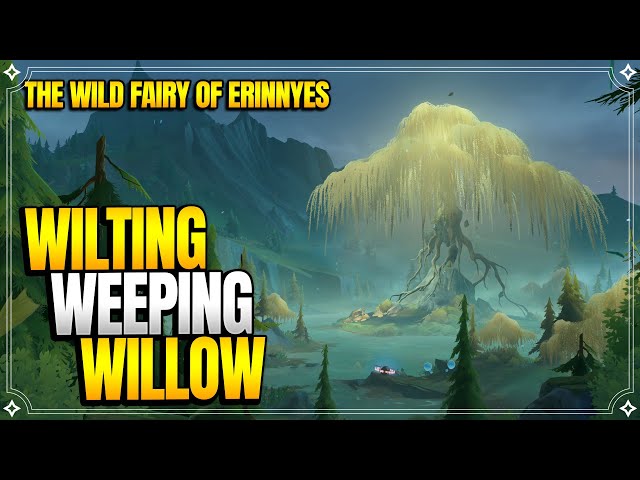 Wilting Weeping Willow | The Wild Fairy of Erinnyes | World Quests & Puzzles |【Genshin Impact】