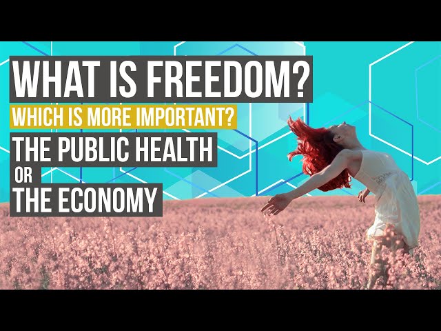 Should you wear a mask? | Public Health vs Economy (2020)