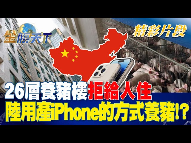 26層大樓不給人住 中國用生產iPhone的方式養豬！？ | 金臨天下 20230210 @tvbsmoney  ​