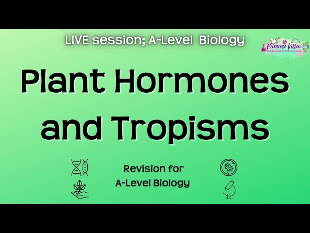 Plant Hormones and Tropisms - A-Level Biology | Live Revision Session