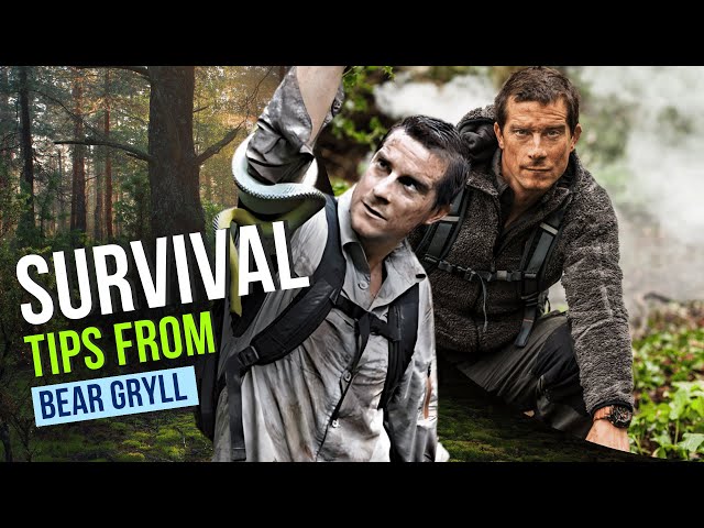 Bear Grylls Shares His Top Survival Tips for Staying Alive Outdoors