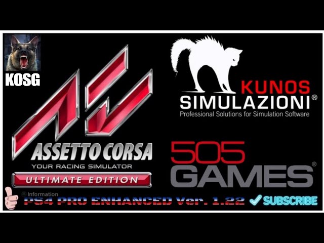 ASSETTO CORSA ULTIMATE EDITION PS4 PRO ENHANCED G29/Magnetic Shifters/Inverted Pedals/BRK Mod