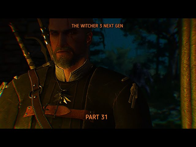 TAKING DOWN A GRAVE HAG | The Witcher 3 Next Gen Part 31