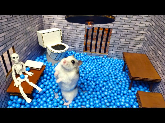 🐹Hamster escapes the awesome maze for Pets in real life 🐹 in Hamster stories Part 3
