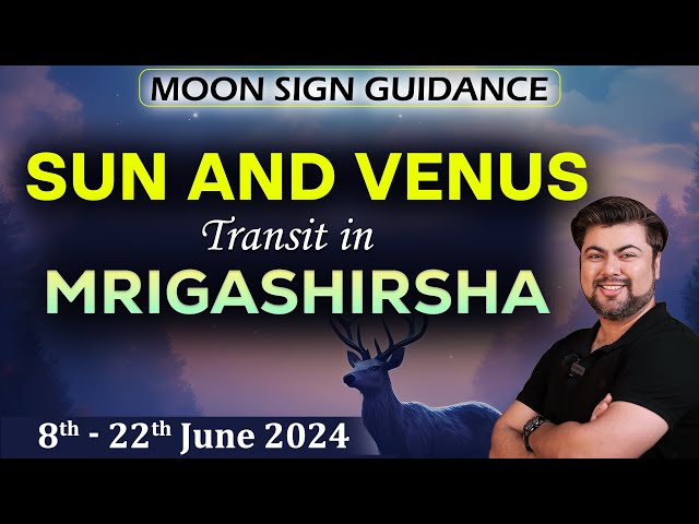 For All Moon Sign | Sun + Venus Transit in Mrigashirsha Nakshatra | 8th  - 22nd June 2024 | Punneit