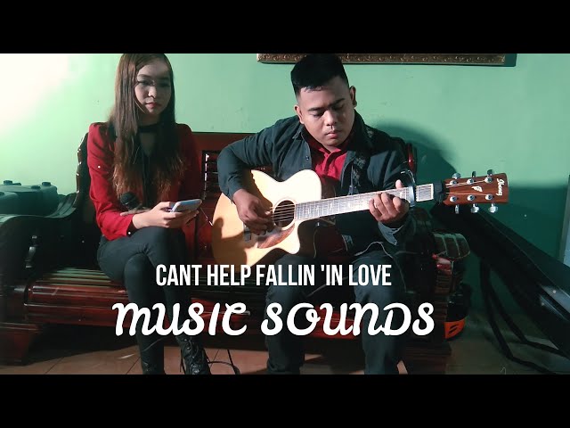Can't Help Falling In Love - Haley Reinhart (Acoustic Cover by Music Sounds)