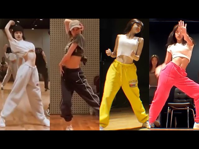 BLACKPINK LISA Dance Practice Compilation