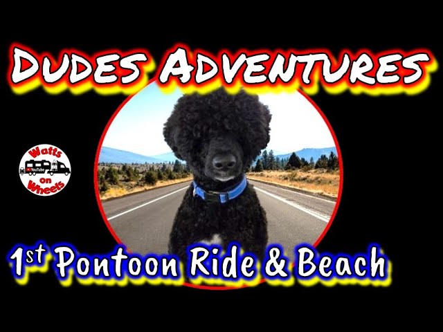 🐾 Dude's 1st Pontoon Ride and Trip to the Beach // Can I swim?