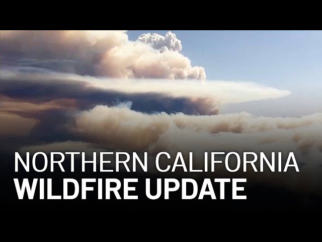 LIVE: Updates on California Wildfires, Evacuations [8/19 11AM]