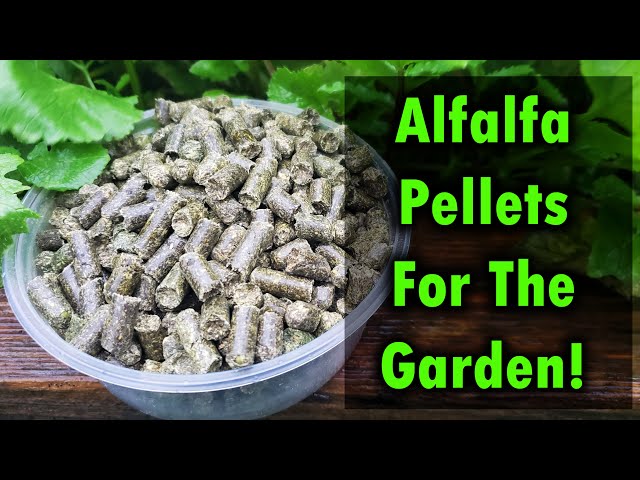 Alfalfa Pellets As Fertilizer For Your Garden