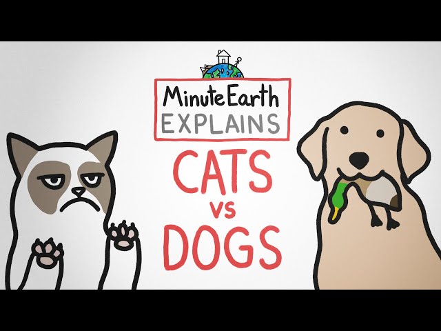 MinuteEarth Explains: Cats vs Dogs