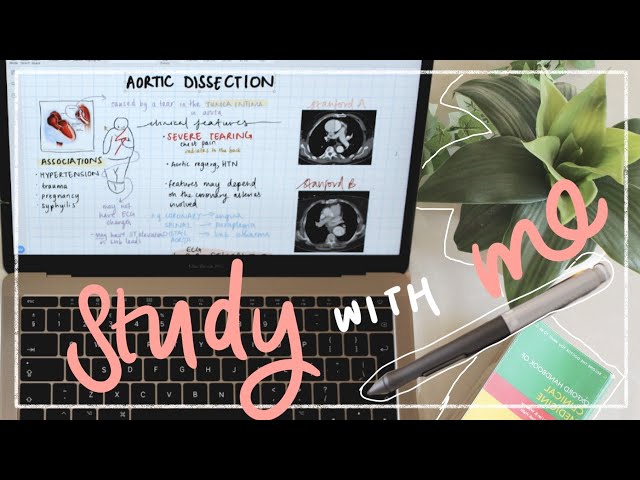 study with me for medical school online exams🌻aesthetic digital notes on laptop (lo-fi chill music)