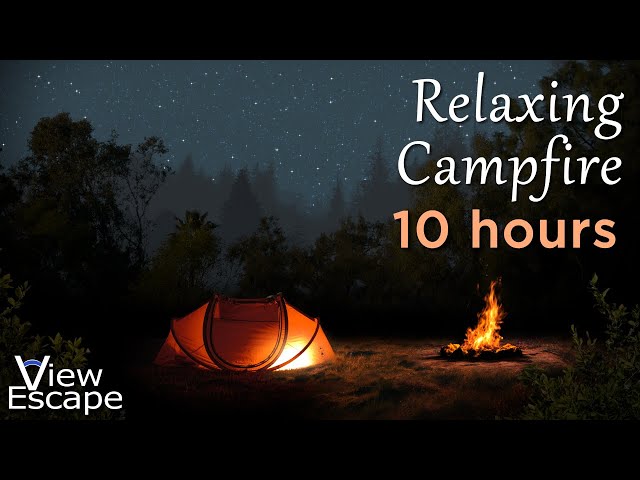 Campfire Ambience | Sounds of crackling fire with gentle forest breeze | ASMR White Noise | 10 HOURS