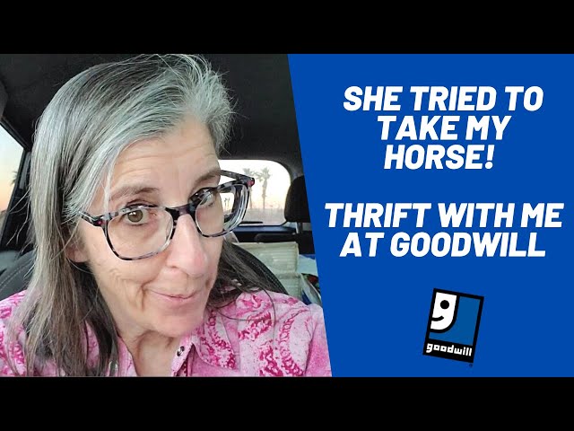 She Tried to Take My Horse! Thrift With Me at Goodwill