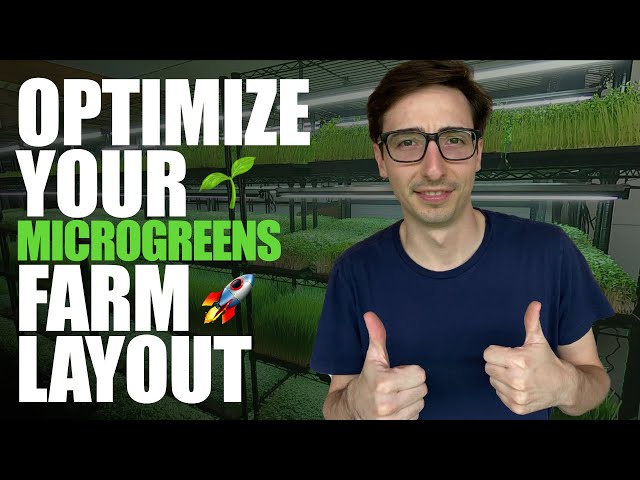Microgreens FARM LAYOUT (Optimal Usage & Work Flow)