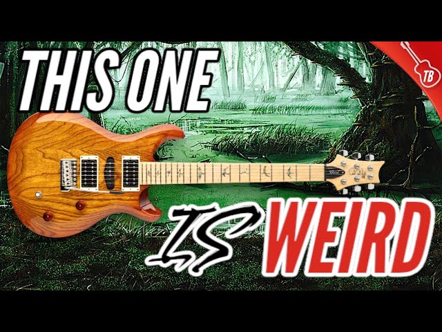 PRS SE Swamp Ash Special - This Guitar Is WILD