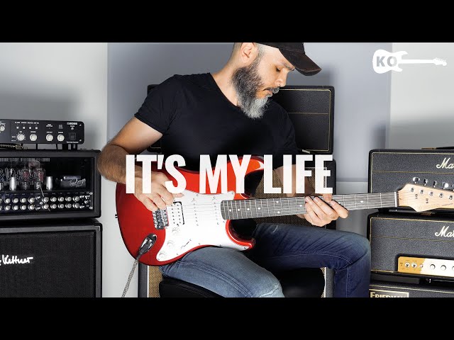 Bon Jovi - It's My Life - Electric Guitar Cover by Kfir Ochaion - Donner Guitars