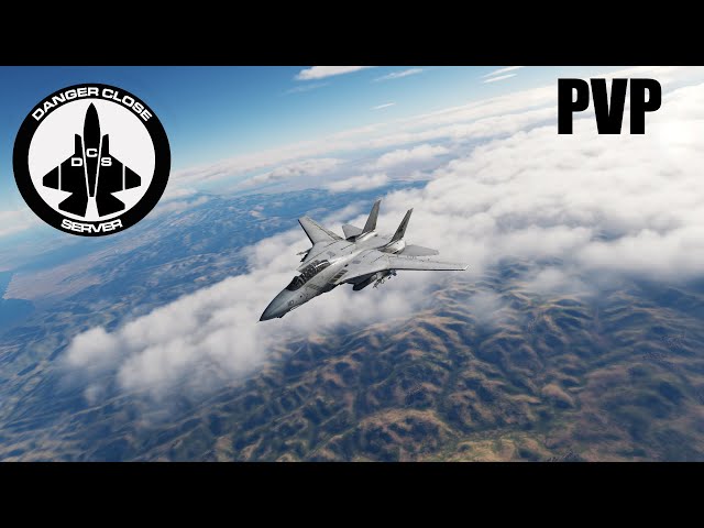 DCS Tomcat PVP on the Danger Close Server: Fighting a Sneaky Viper