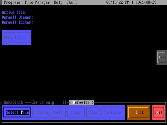 PsychDOS is a text-mode desktop for DOS