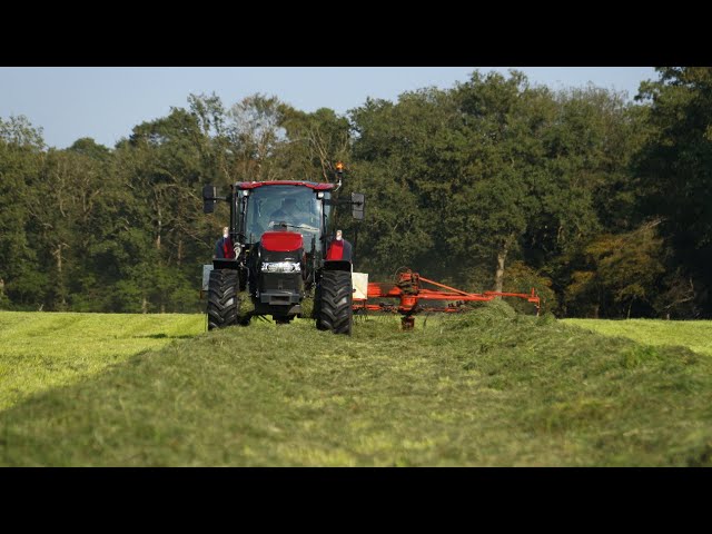 mowing grass and ensiling/gras maaien en inkuilen | 2023 | farmall 90c and more!