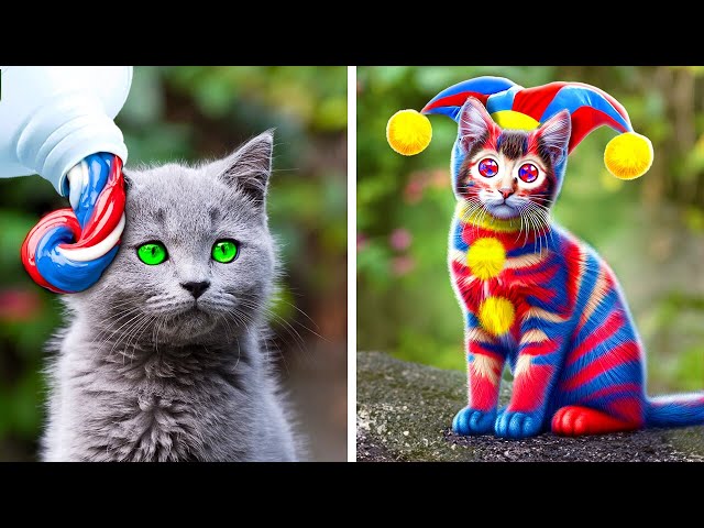 Cat-chy Digital Circus Pet Crafts 🐱✨ Purr-fect DIY Ideas And Hacks For Easy Pet Care