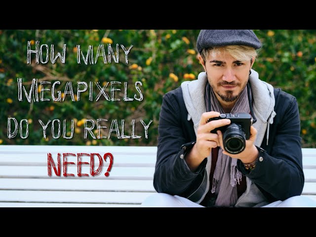 TechCorner - How many Megapixels do you need and how many is too many?